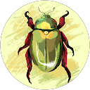 Abdul Kalam profile picture